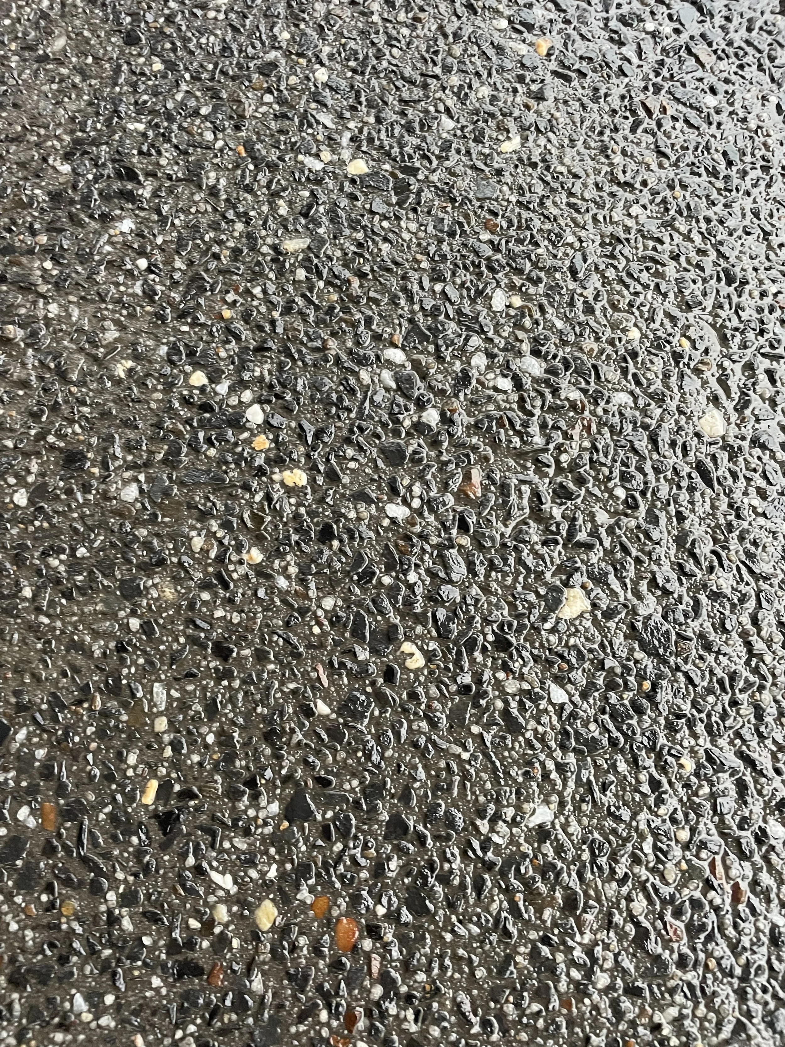 IMG_5095.jpeg