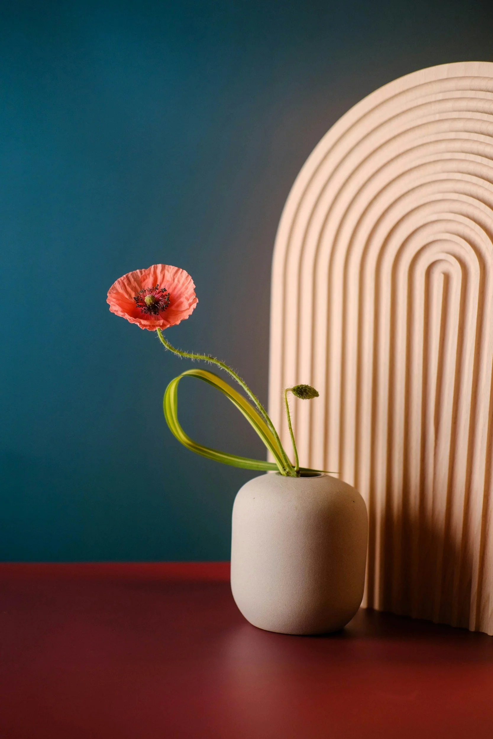 A white round vase holding a single pink poppy flower with a curved green stem, set against a background with a blue wall and a wooden panel. The scene is lit with soft lighting, and the surface is a reddish-brown table.