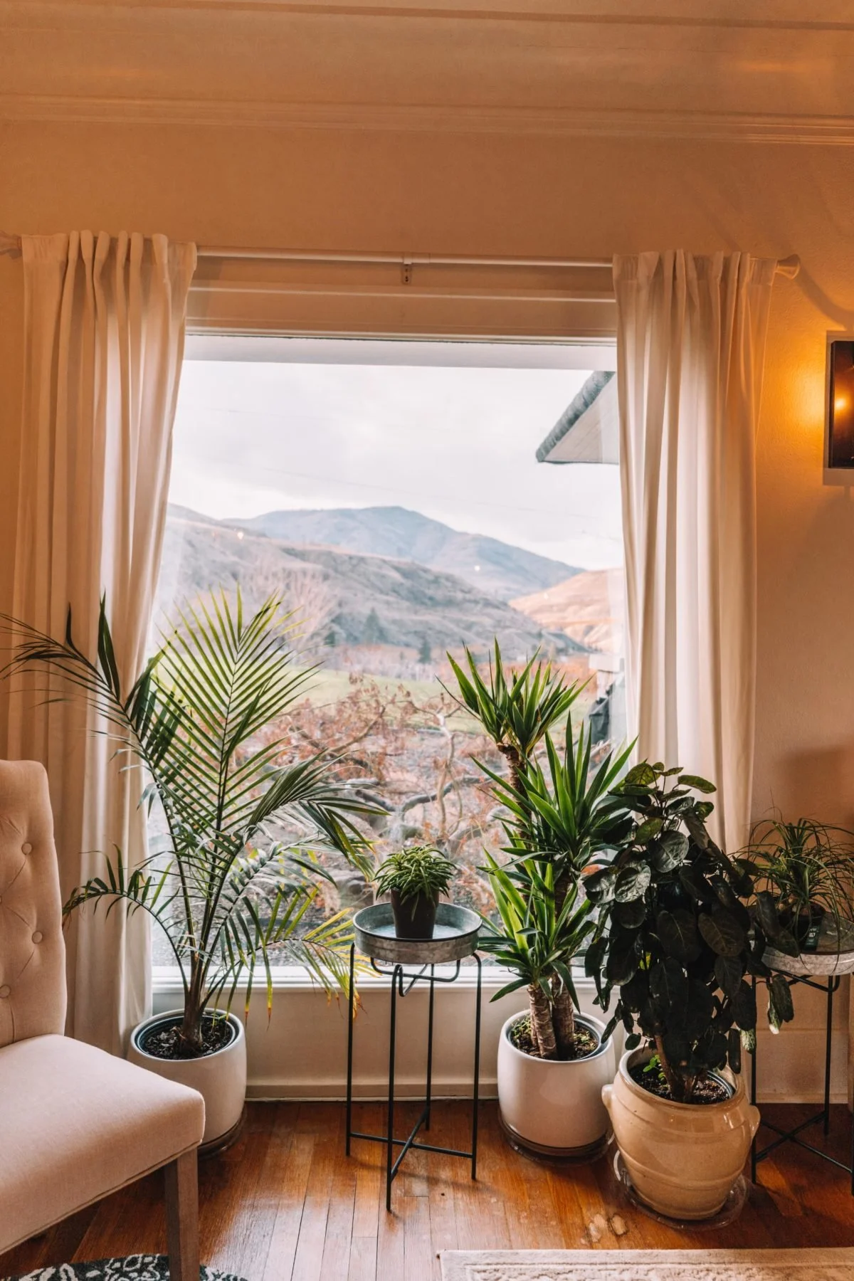 Downstairs window view