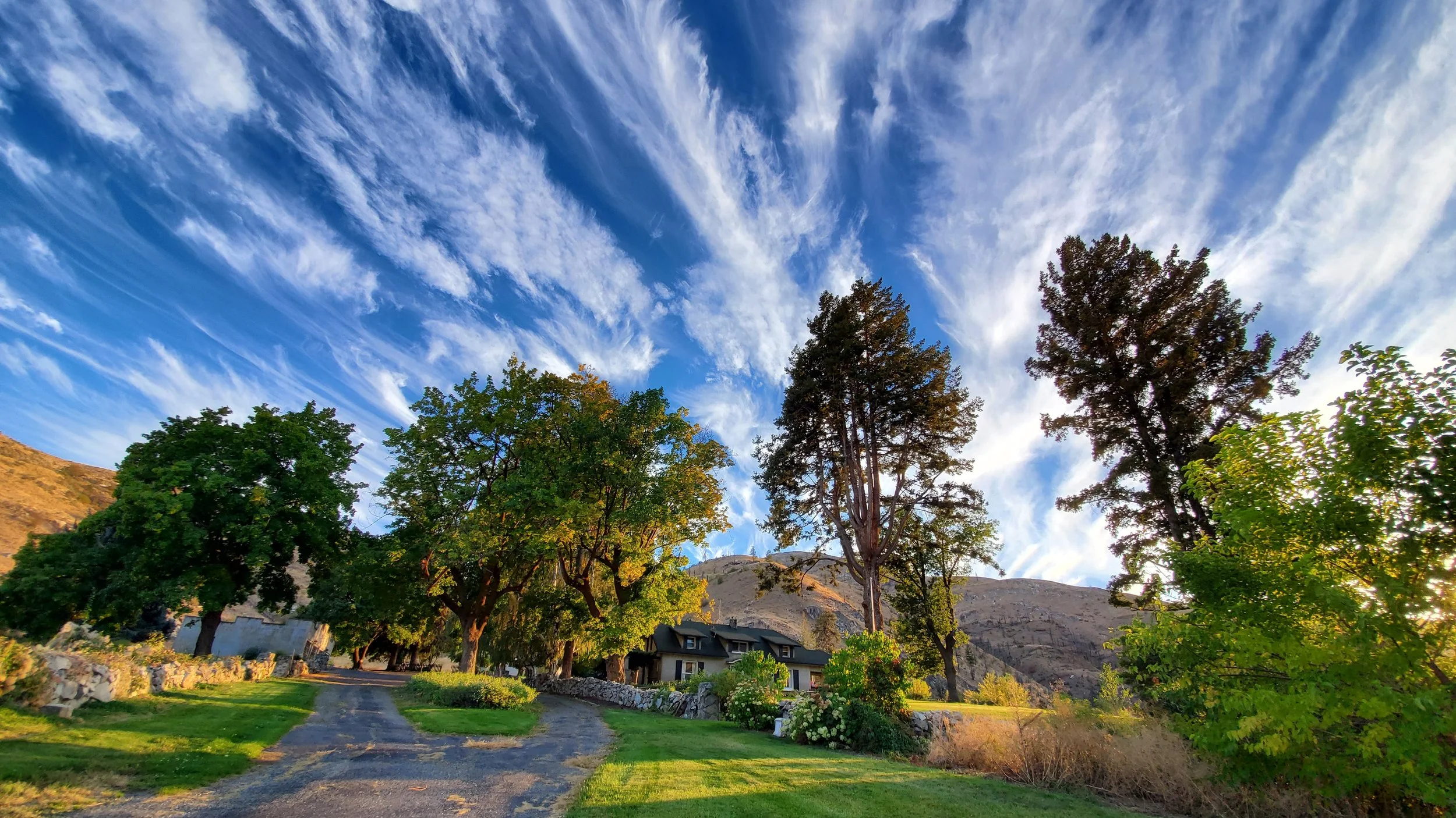 View of the house from the driveway