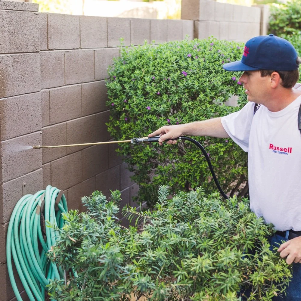 Home Sealing Solutions That Block the Uninvited