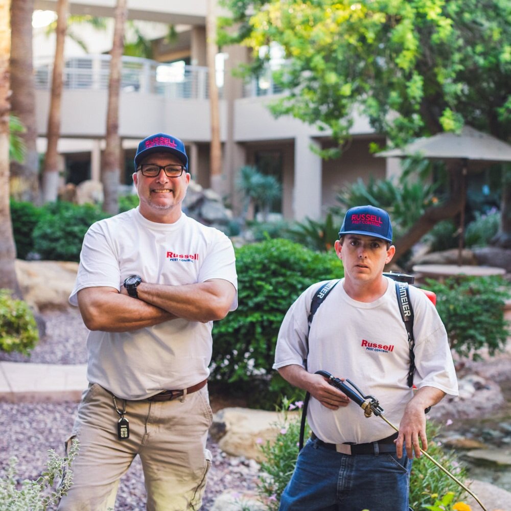 How to Know When It's Time to Call Pest Control Professionals