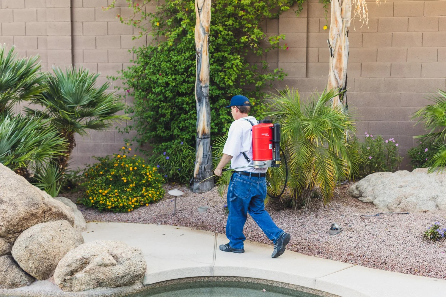 Is Residential Pest Control Worth the Cost in Phoenix?