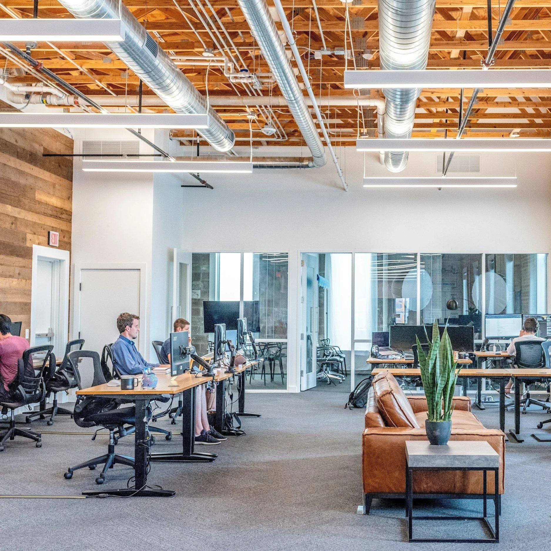Professional Pest Control Solutions for Business Spaces 