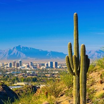 Summer Roach Control Tips for Phoenix Homeowners