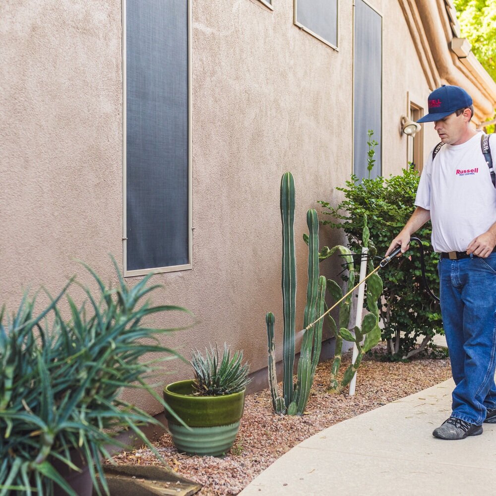 Tips To Avoid Pest Control Scammers 