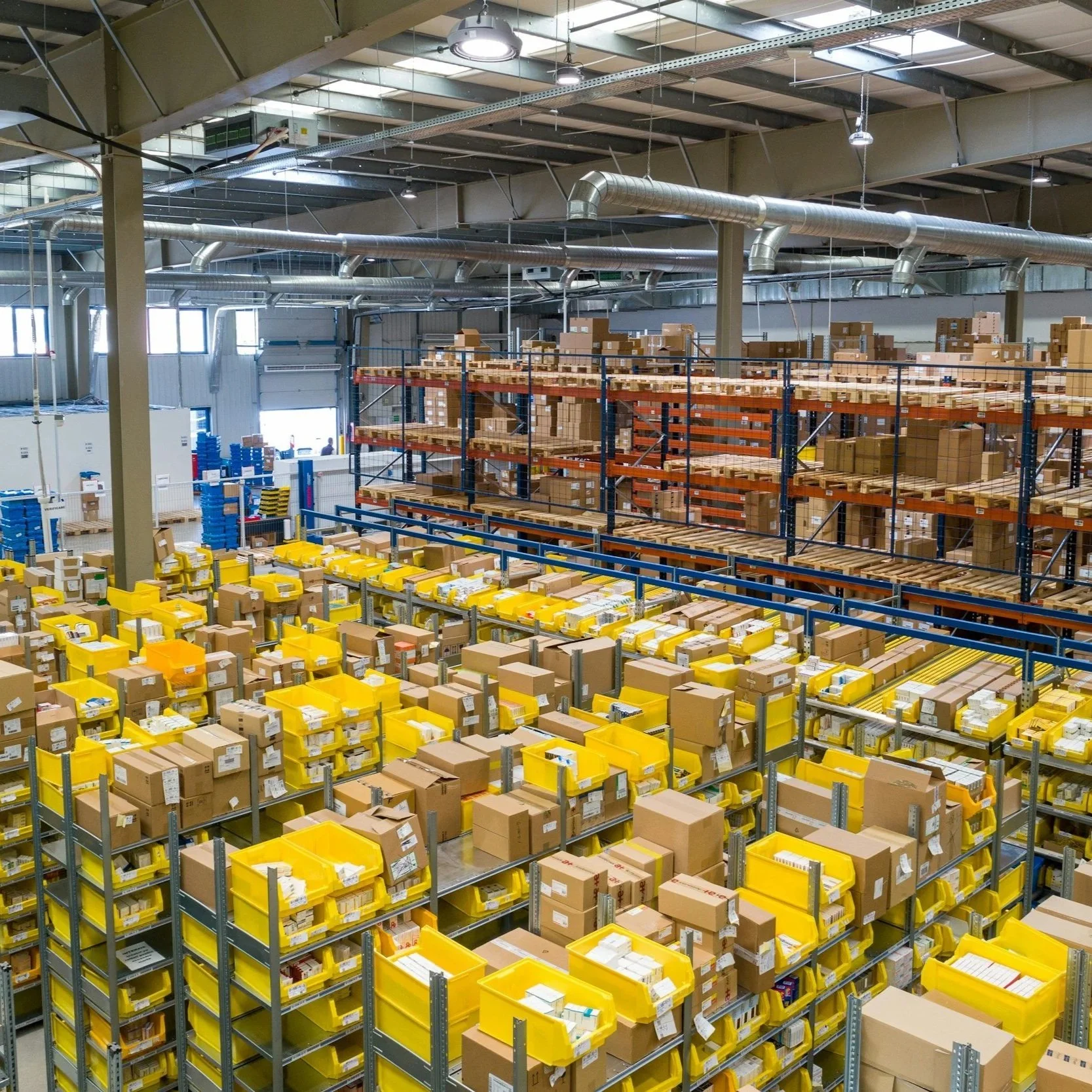 When Facility Managers Should Schedule Routine Pest Inspections