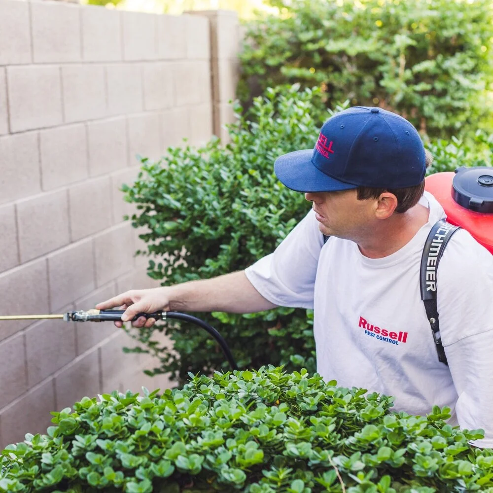 aaron-kes-photography-green-thumb-russell-pest-control-107.jpg