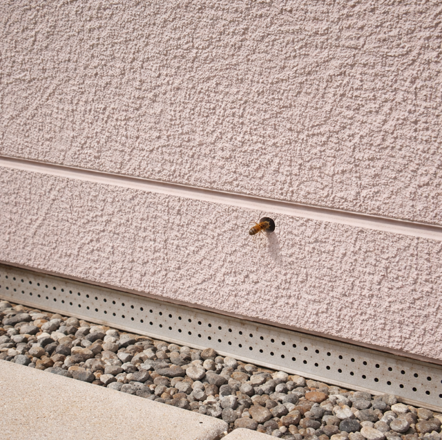 stucco entry holes on beige exterior wall