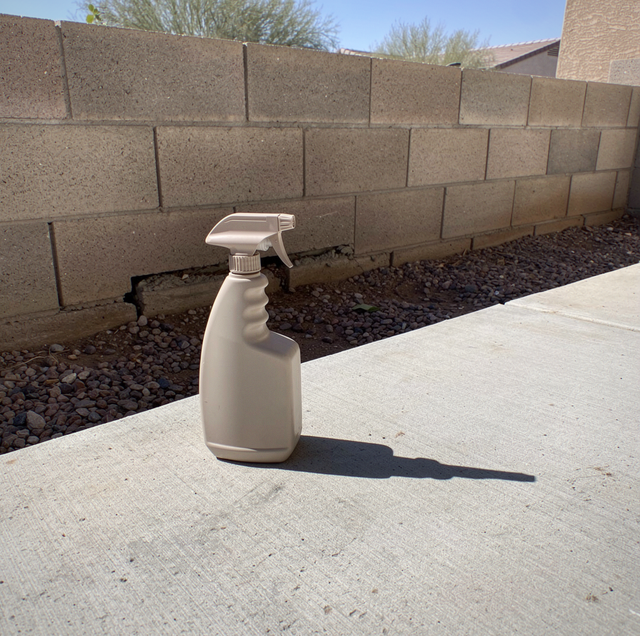 scorpion on porous stucco wall beside spray can