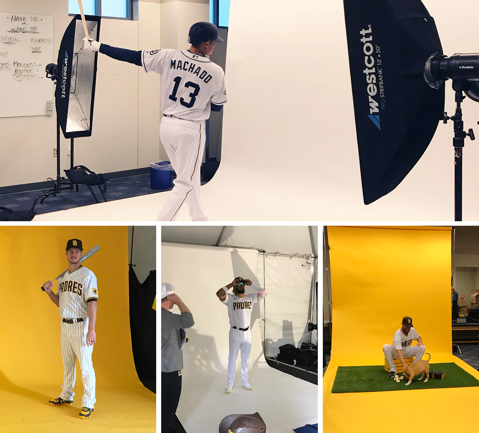 AL_Website-Photography-V2AL_Photography-Padres01.png