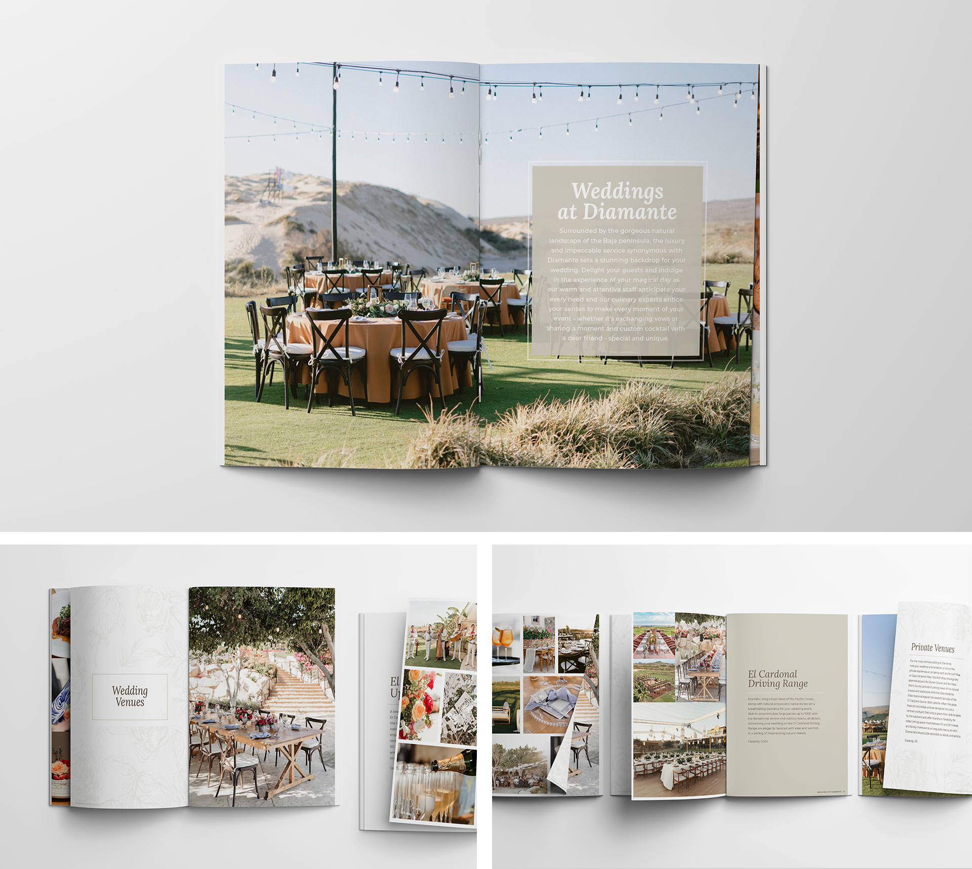 AL_Website-PrintDesignAL_Diamante-01.png