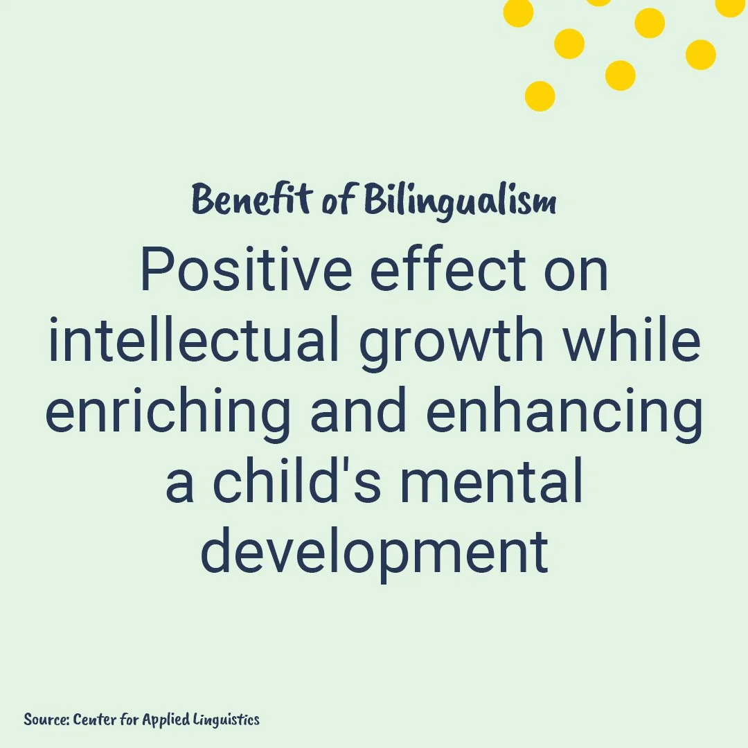 Text on a light green background discussing benefits of bilingualism, emphasizing positive effects on intellectual growth and children's mental development. There are yellow decorative dots in the top right corner.