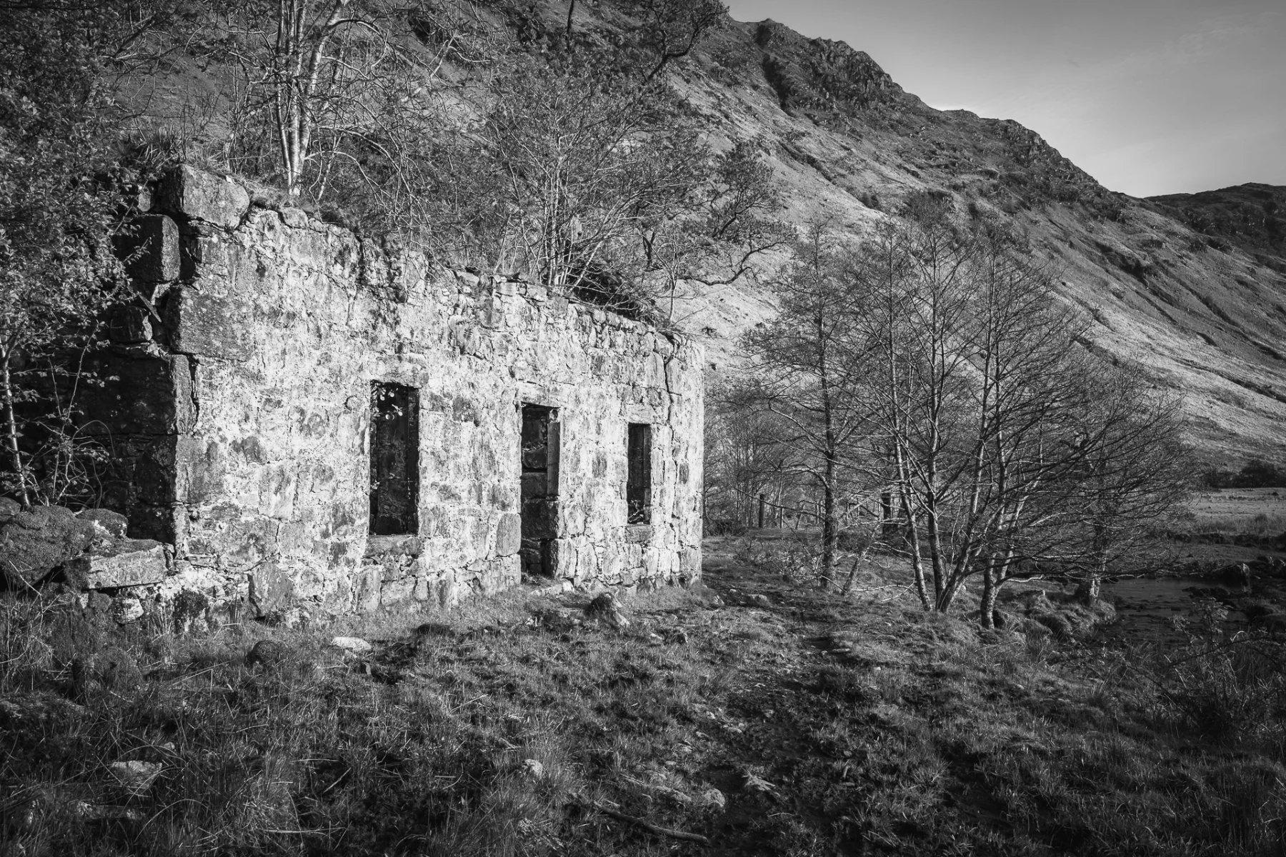 The ruins of stone croft buildings in the trees at Glenforslan | Glen Moidart Scotland | Steven Marshall Photography