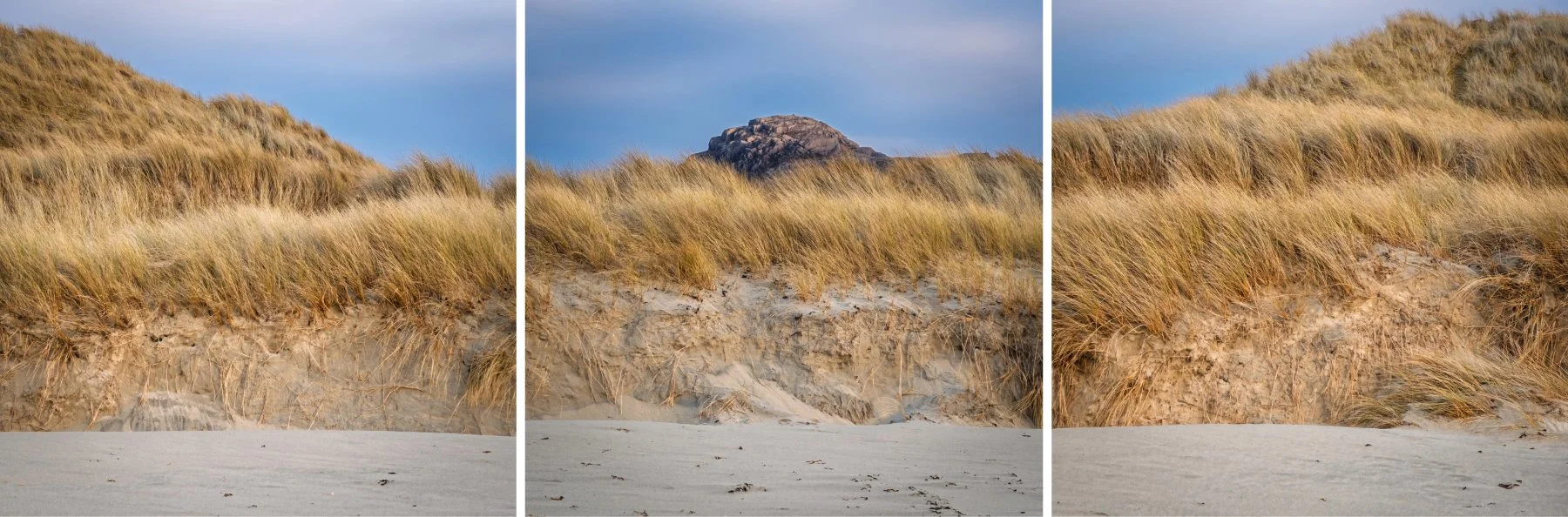 Some detailed shots of sections of the marram grass covered sand dunes around the beach at Sanna | Ardnamurchan Scotland | Steven Marshall Photography