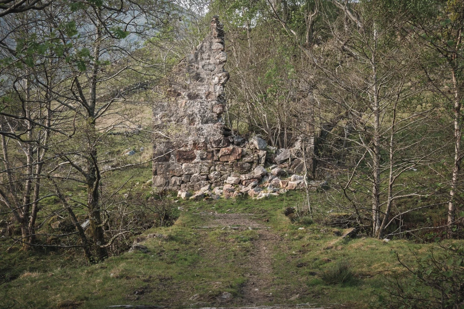 The ruins of stone croft buildings in the trees at Glenforslan | Glen Moidart Scotland | Steven Marshall Photography