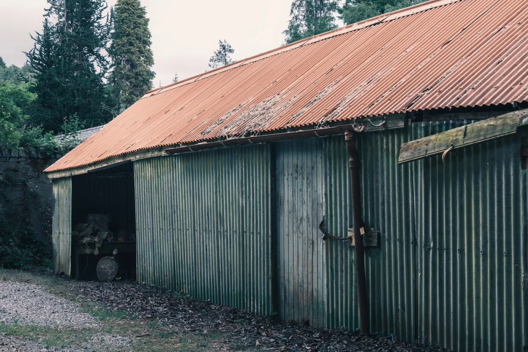 A green painted wall dilapidated agricultural building with a rusting corrugated tin/iron roof | Shielbridge Acharacle Ardnamurchan Scotland | Steven Marshall Photography