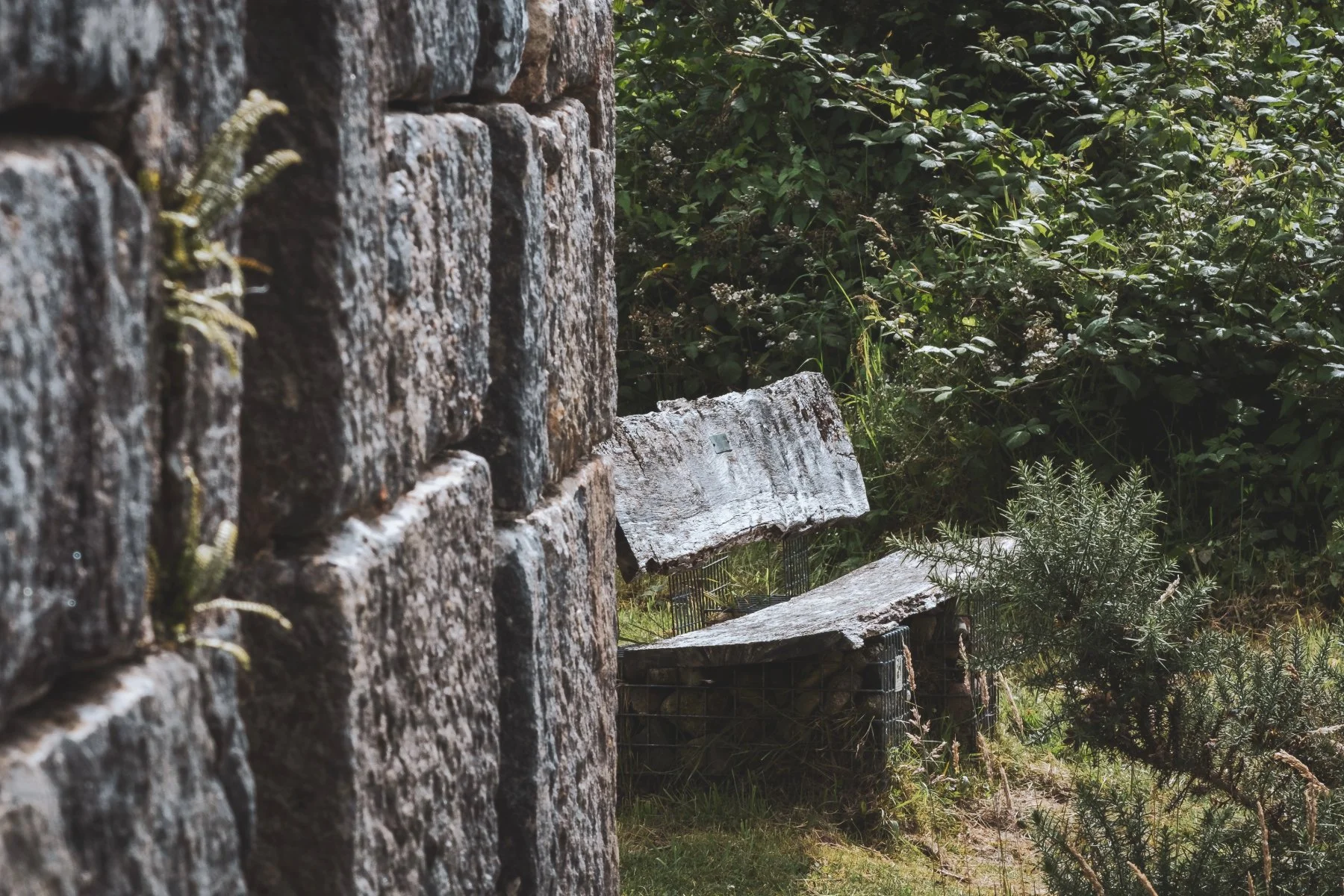 A wooden seat by the stone wall of the old boathouse by Loch Aline at Ardtornish Estate | Morvern, Scotland | Steven Marshall Photography