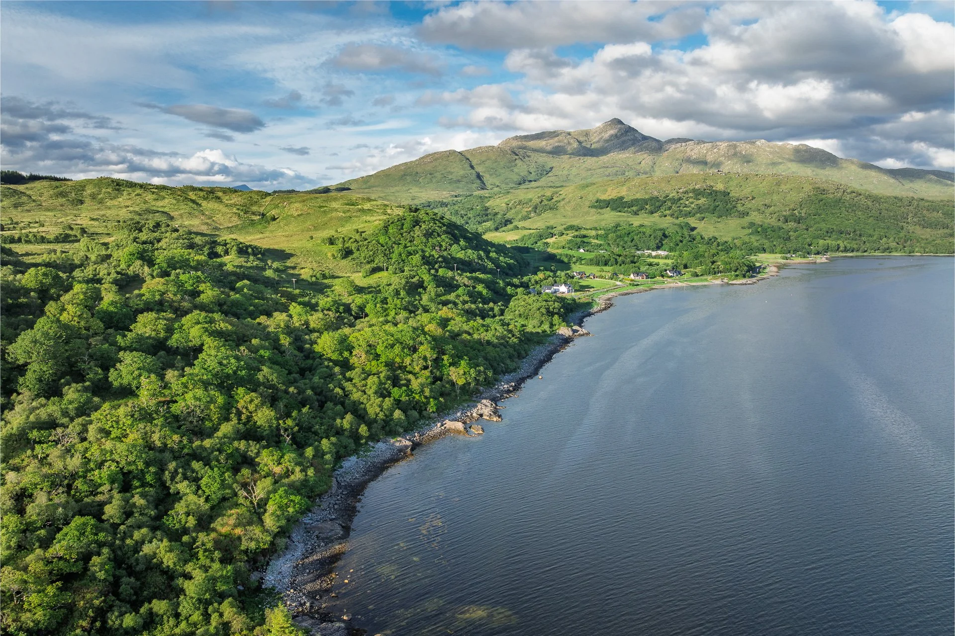 Verdant spring green ancient Atlantic Oakwood stretching along the shore of Loch Sunart with Ben Resipole in the distance | Sunart Scotland | Steven Marshall Photography