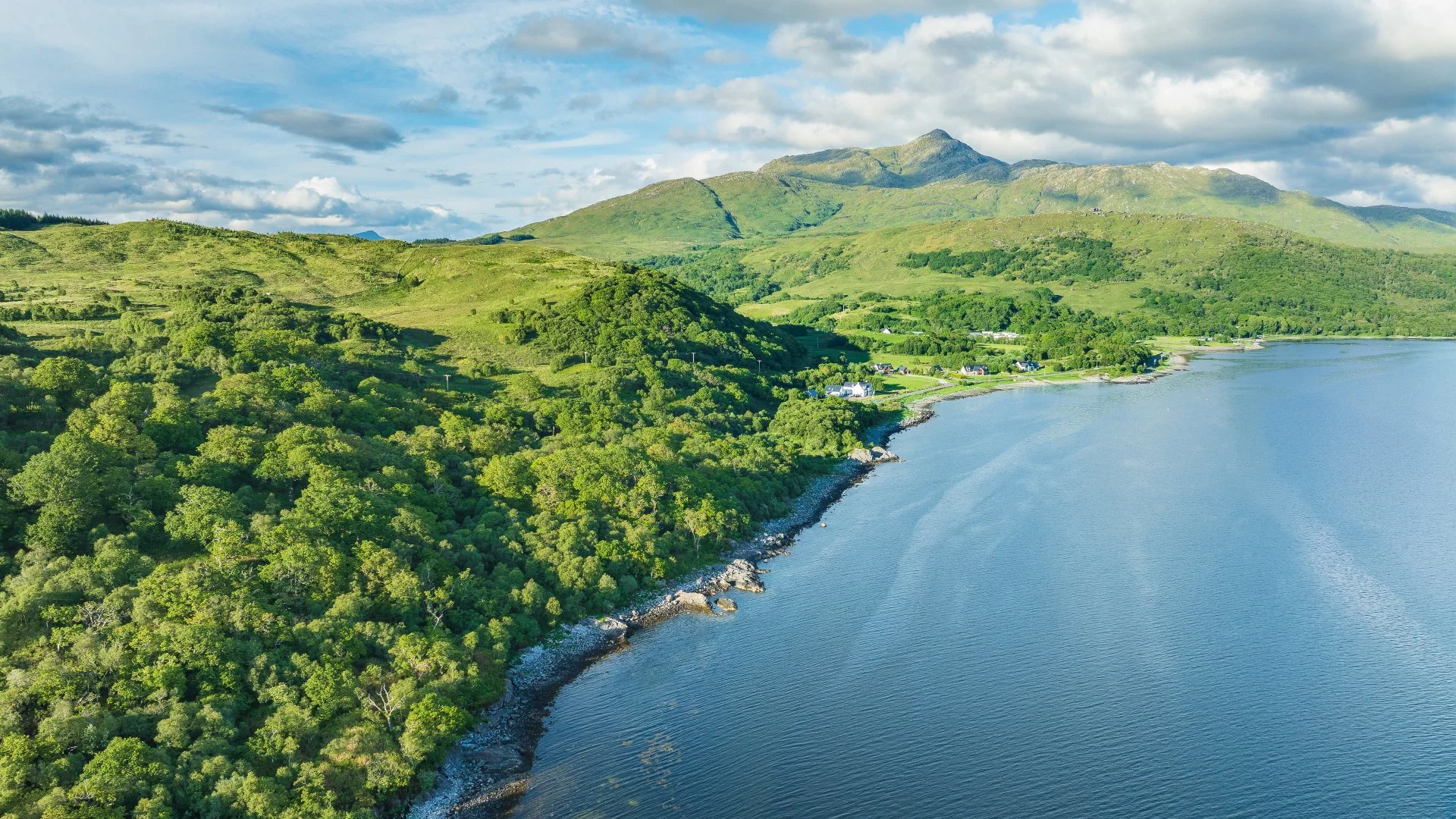 Atlantic Oakwood in spring green foliage by Loch Sunart and Ben Resipole | Ardnamurchan, Scotland | Steven Marshall Photography