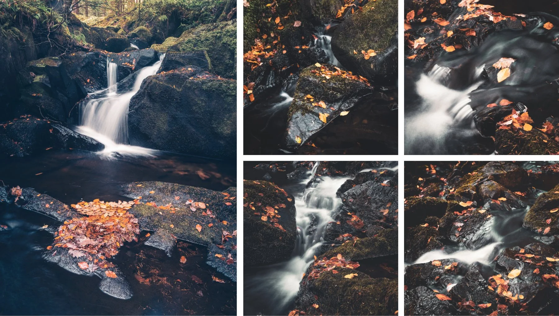Fallen orange leaves from the beech trees scattered across the rocks by the waterfall and the stream that flows through the wood at Mingarry | Moidart Scotland | Steven Marshall Photography