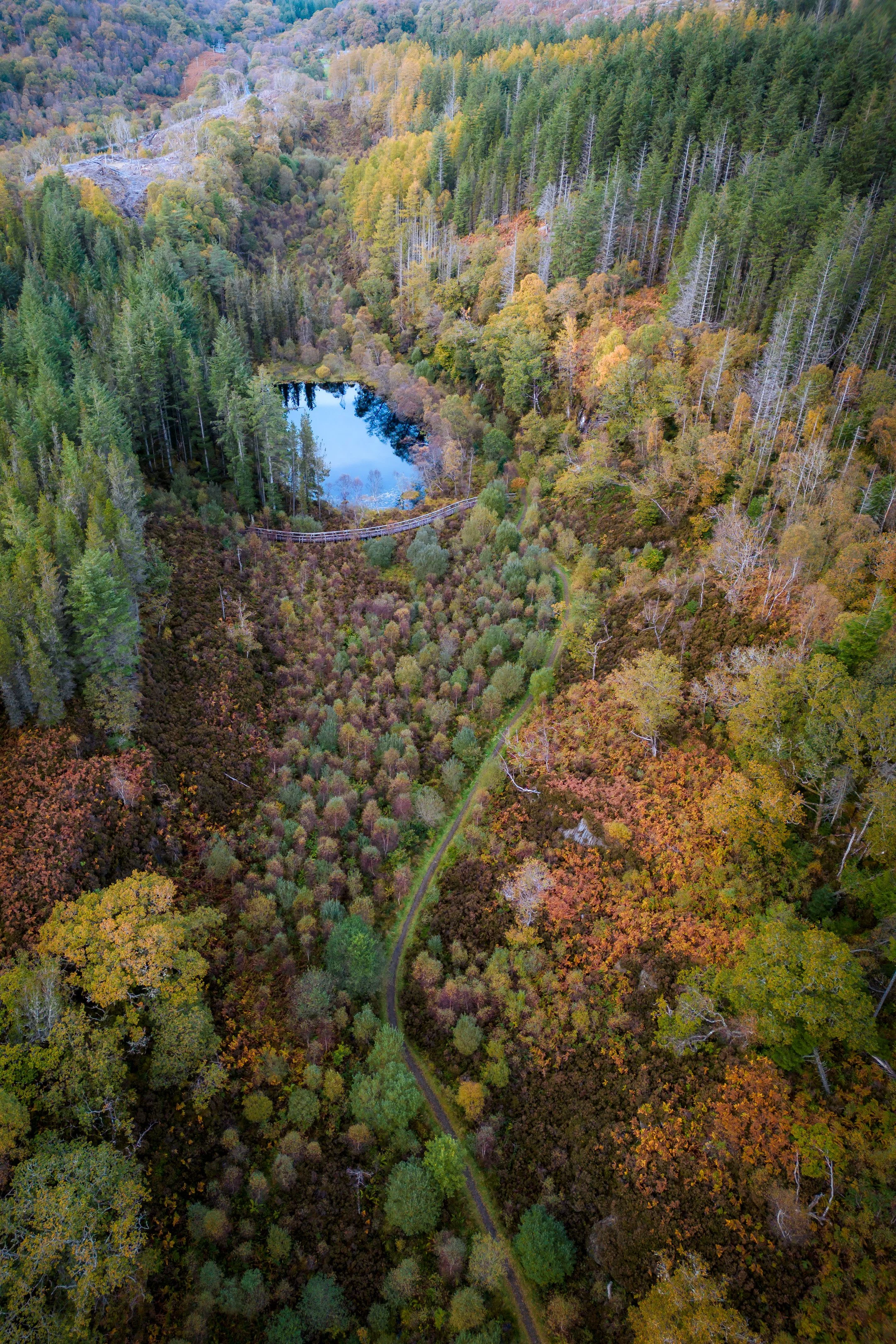 An aerial view of a path through autumnal woodland to the mirrorlike Lochan na Dunaich near Salen | Sunart Scotland | Steven Marshall Photography