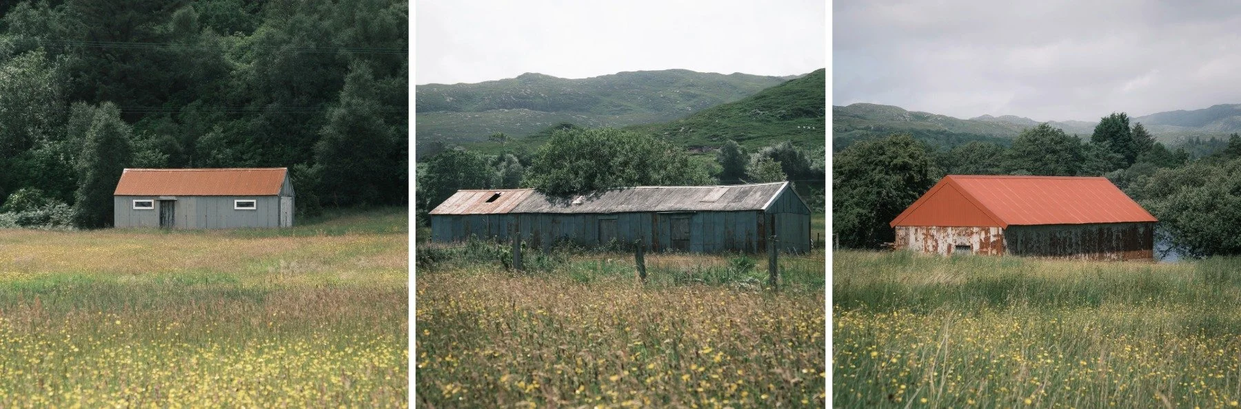 Triptych of corrugated tin/iron agricultural buildings amongst summer wildflower meadows | Acharacle Ardnamurchan Scotland | Steven Marshall Photography