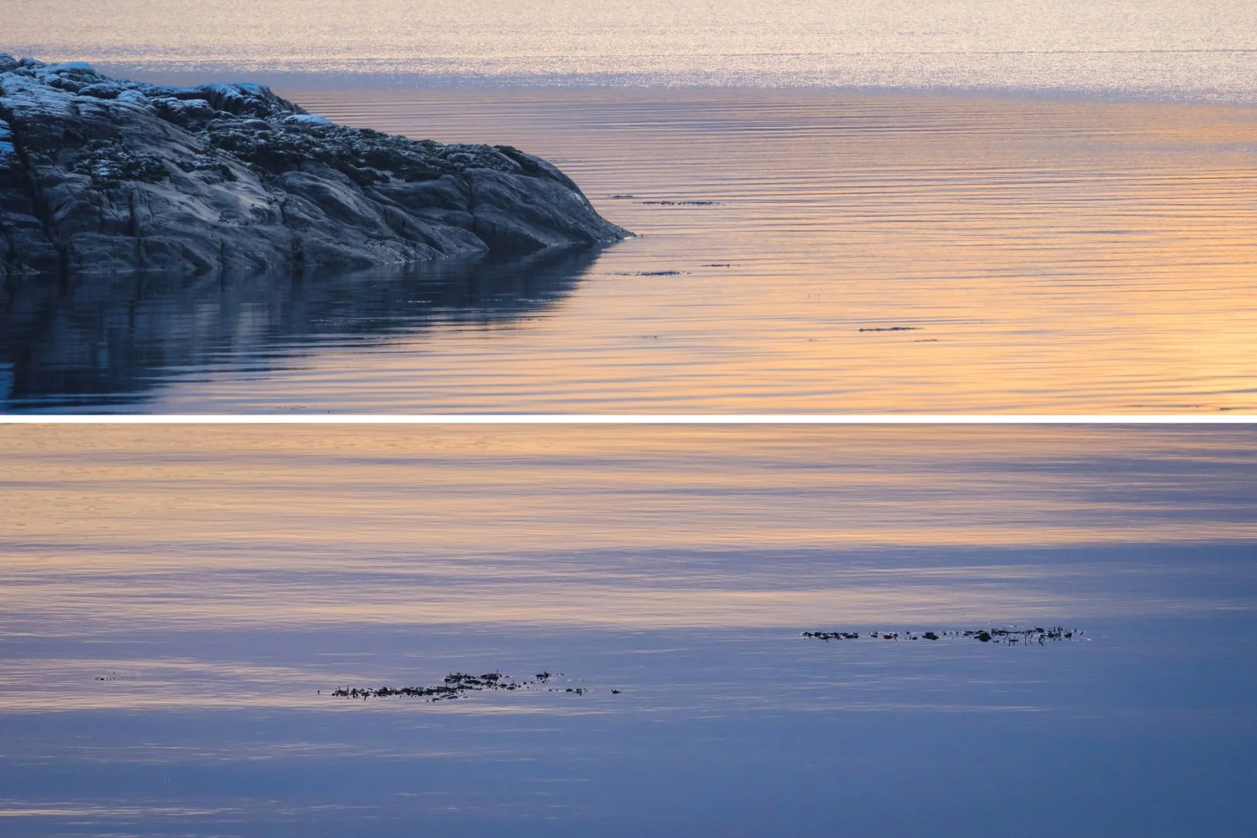 Golds and blues mix on the calm water of Loch Sunart at Resipole | Sunart Scotland | Steven Marshall Photography
