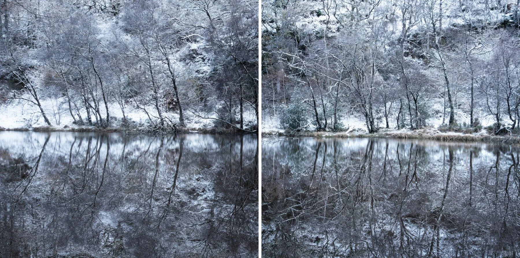 Snow covered woodland around a mirror calm Lochan na Dunaich with the trees reflected in it| Sunart Scotland | Steven Marshall Photography