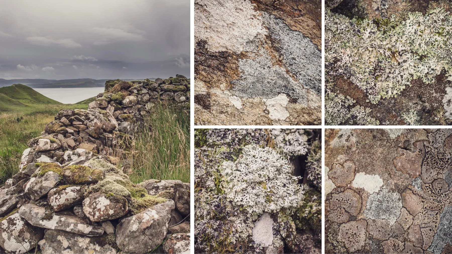 Close up of lichen on the stone walls of a ruined croft house in the Scottish Highlands | Bourblaige Cleared Settlement, Ardnamurchan, Scotland | Steven Marshall Photography