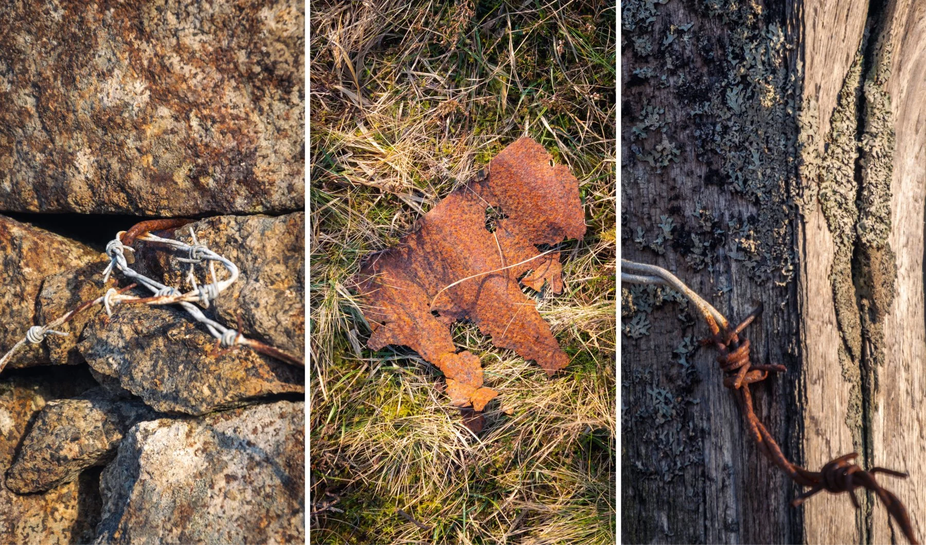Detailed shots of a stone wall, barbed wire, fence post and rusting corrugated tin/iron taken on a derelict croft at Sanna | Ardnamurchan Scotland | Steven Marshall Photography