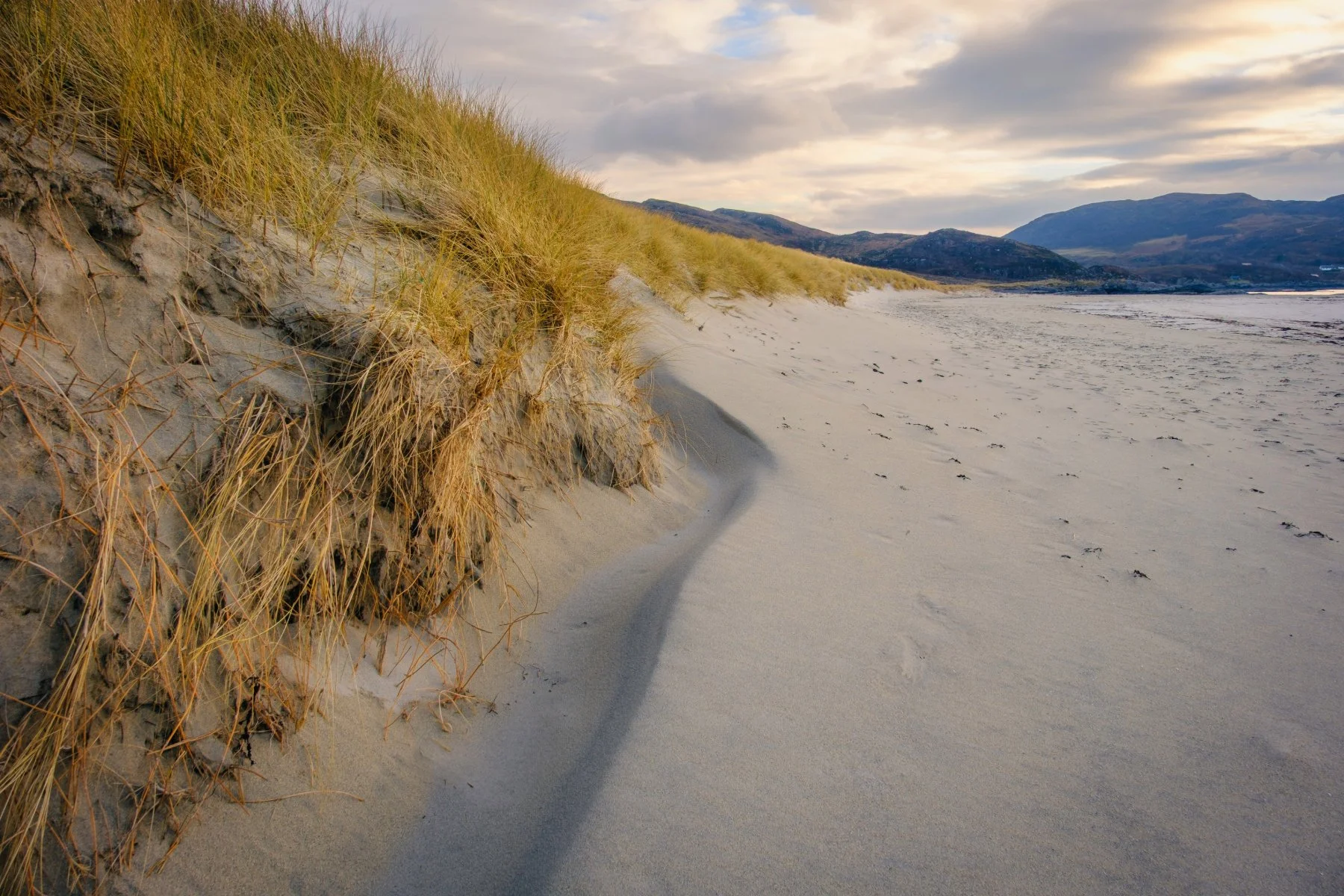 Last light of an afternoon falling on the marram grass covered sand dunes around the beach at Sanna | Ardnamurchan Scotland | Steven Marshall Photography