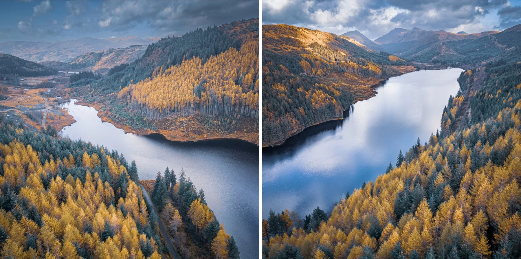 An aerial shot of a mixture of green pine trees and yellow larch trees on the hills around Loch Doilet, Polloch at autumn| Sunart Scotland | Steven Marshall Photography