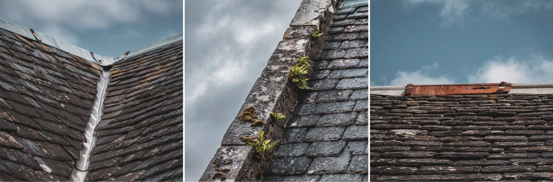 Close ups of the roof of the old boathouse by Loch Aline at Ardtornish Estate | Morvern, Scotland | Steven Marshall Photography
