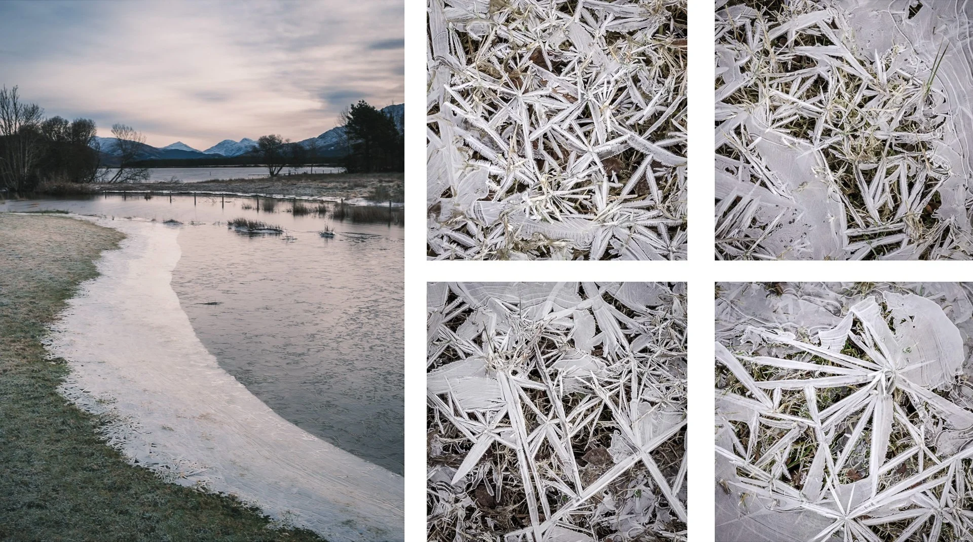 Ice and frosted grass forming the boundary between the frozen ground and frozen water in the flooded fields around the edge of Loch Shiel in Acharacle | Ardnamurchan, Scotland | Steven Marshall Photography