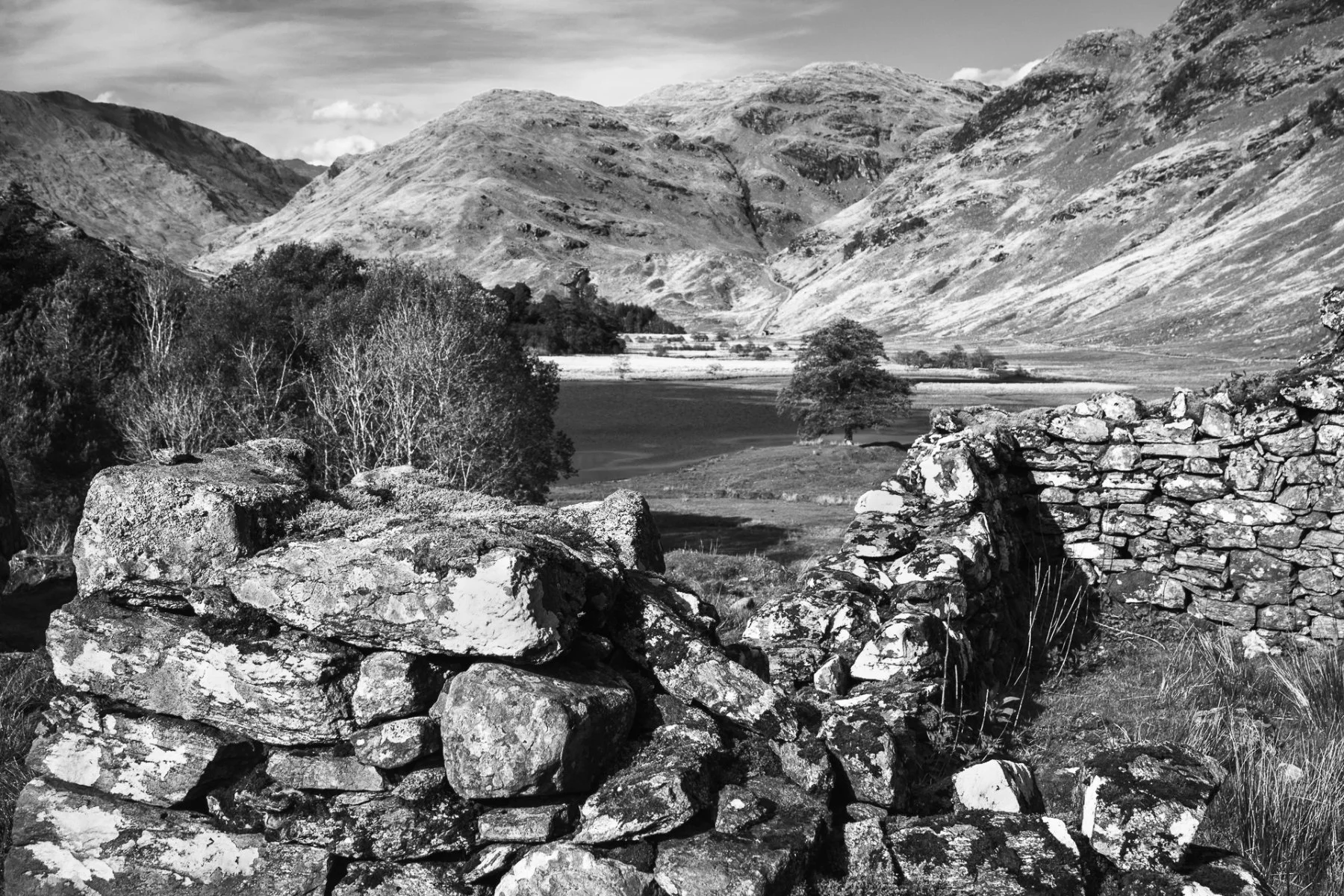 Ruins of a stone croft building with hills, a loch and single tree in the background | Glen Moidart Scotland | Steven Marshall Photography