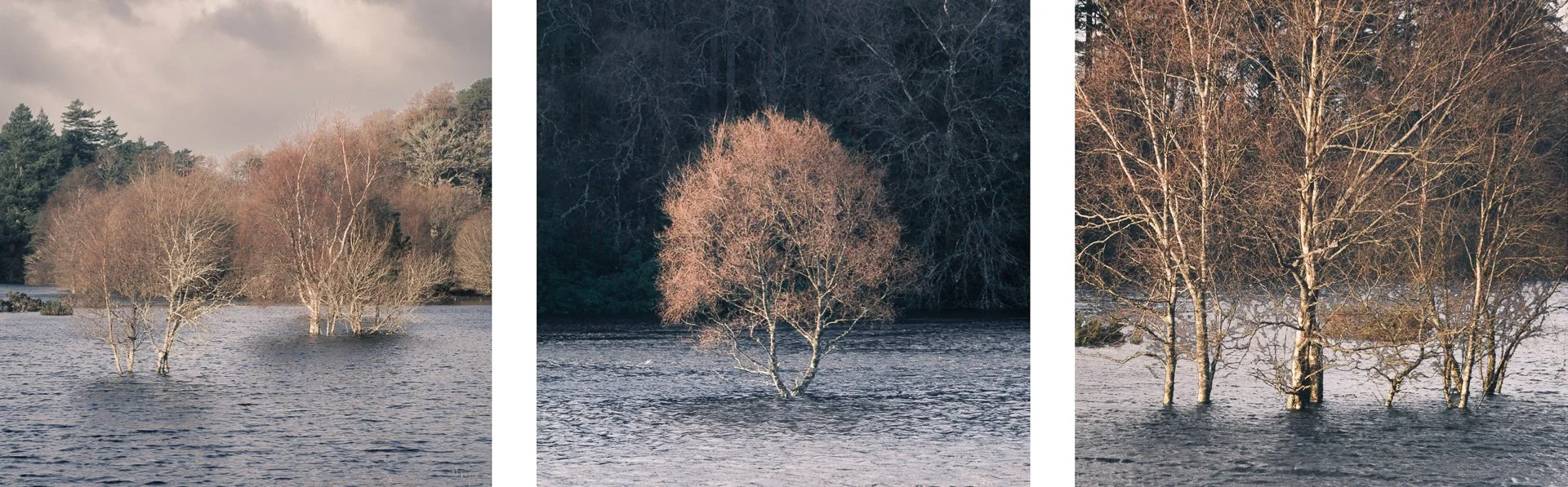 Trees in a flooded landscape at the bridge over the River Sheil near Acharacle | Moidart, Scotland | Steven Marshall Photography