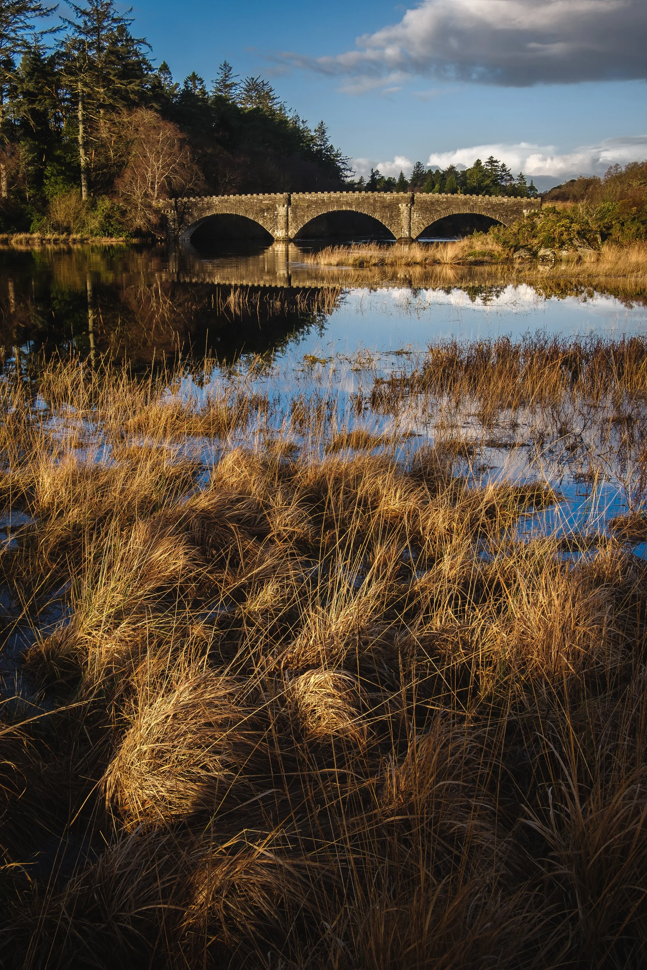 Morning light on the new bridge over the River Shiel near Acharacle | Moidart Scotland | Steven Marshall Photography