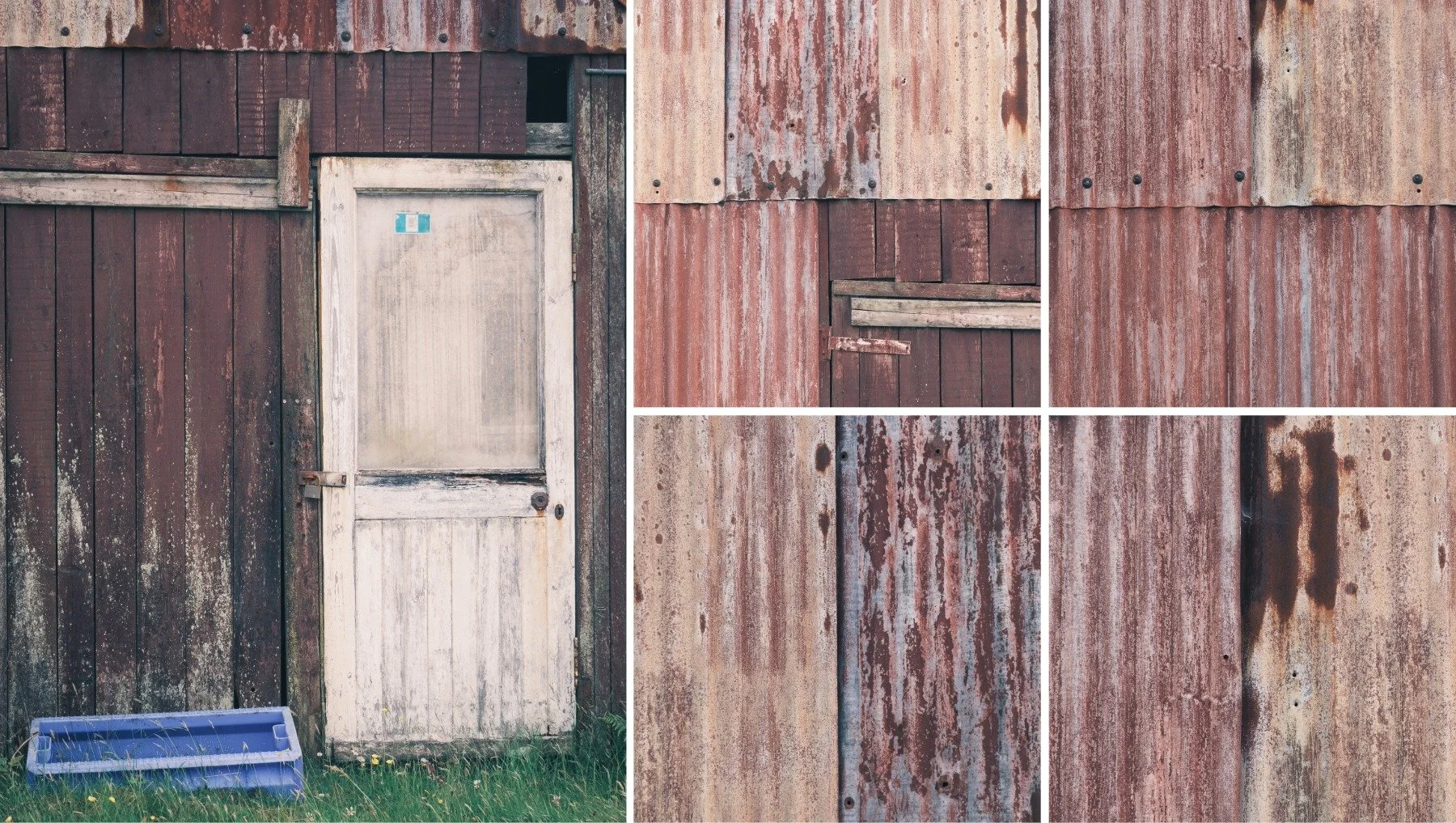 Close up images of a red dilapidated and rusting corrugated tin/iron agricultural building with a white wooden door | Ardtoe Ardnamurchan Scotland | Steven Marshall Photography