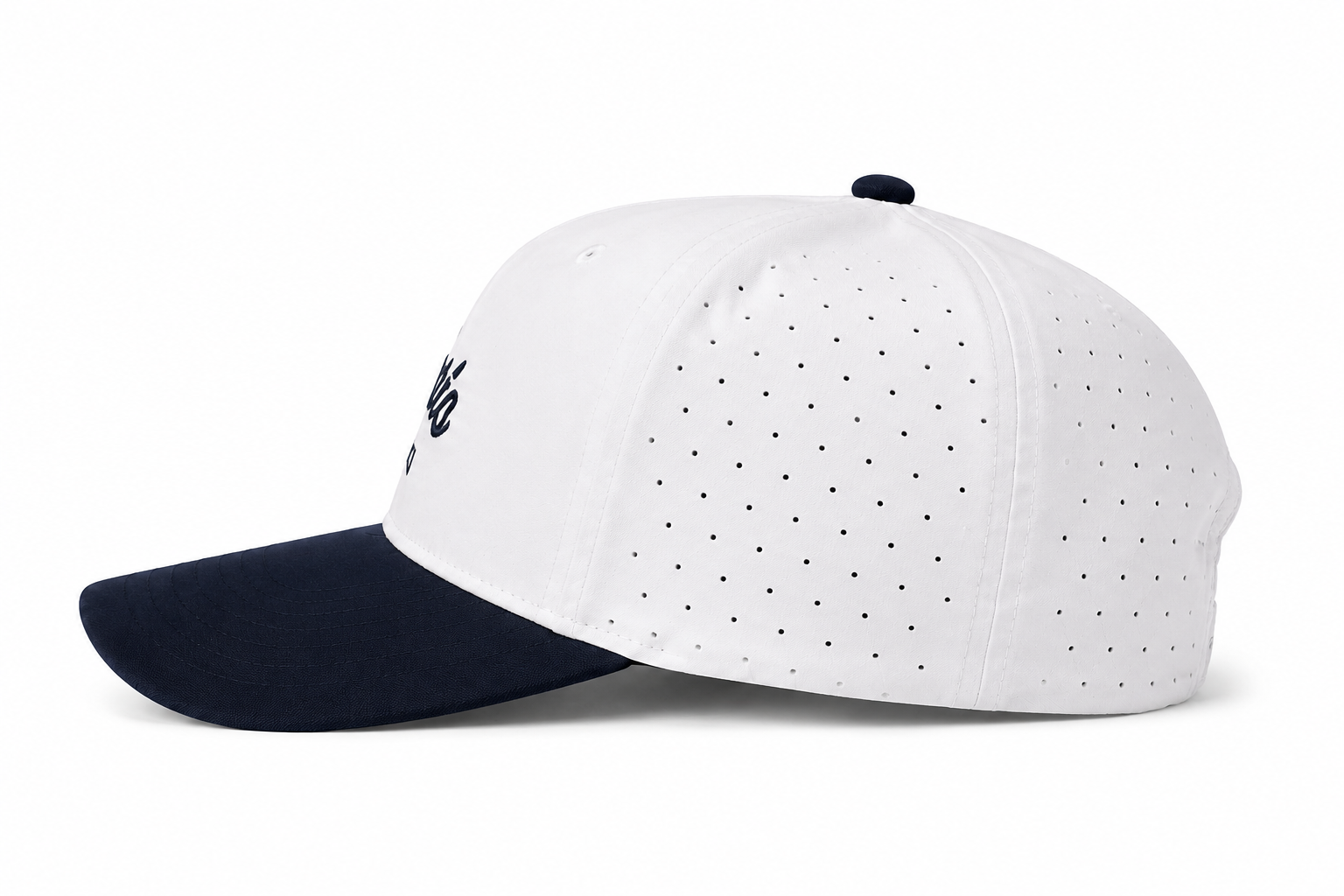 Official Whitecaps Hat Side Image.png