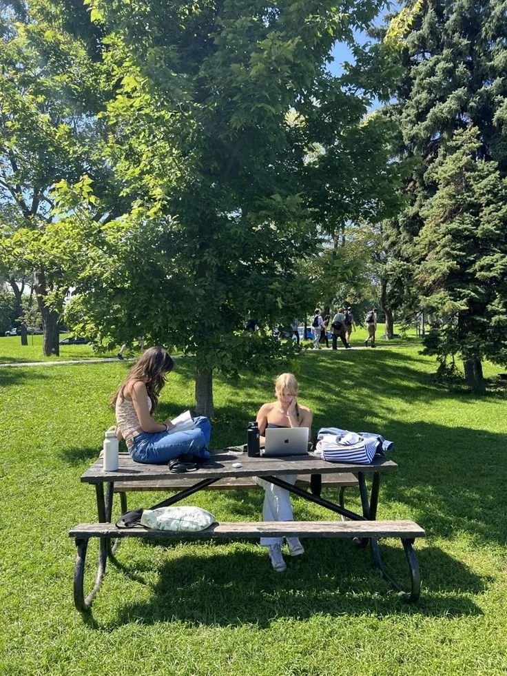 Two women are sitting at a picnic table under a large green tree in a park, working on their laptops and reading books, on a sunny day with blue sky and grass.