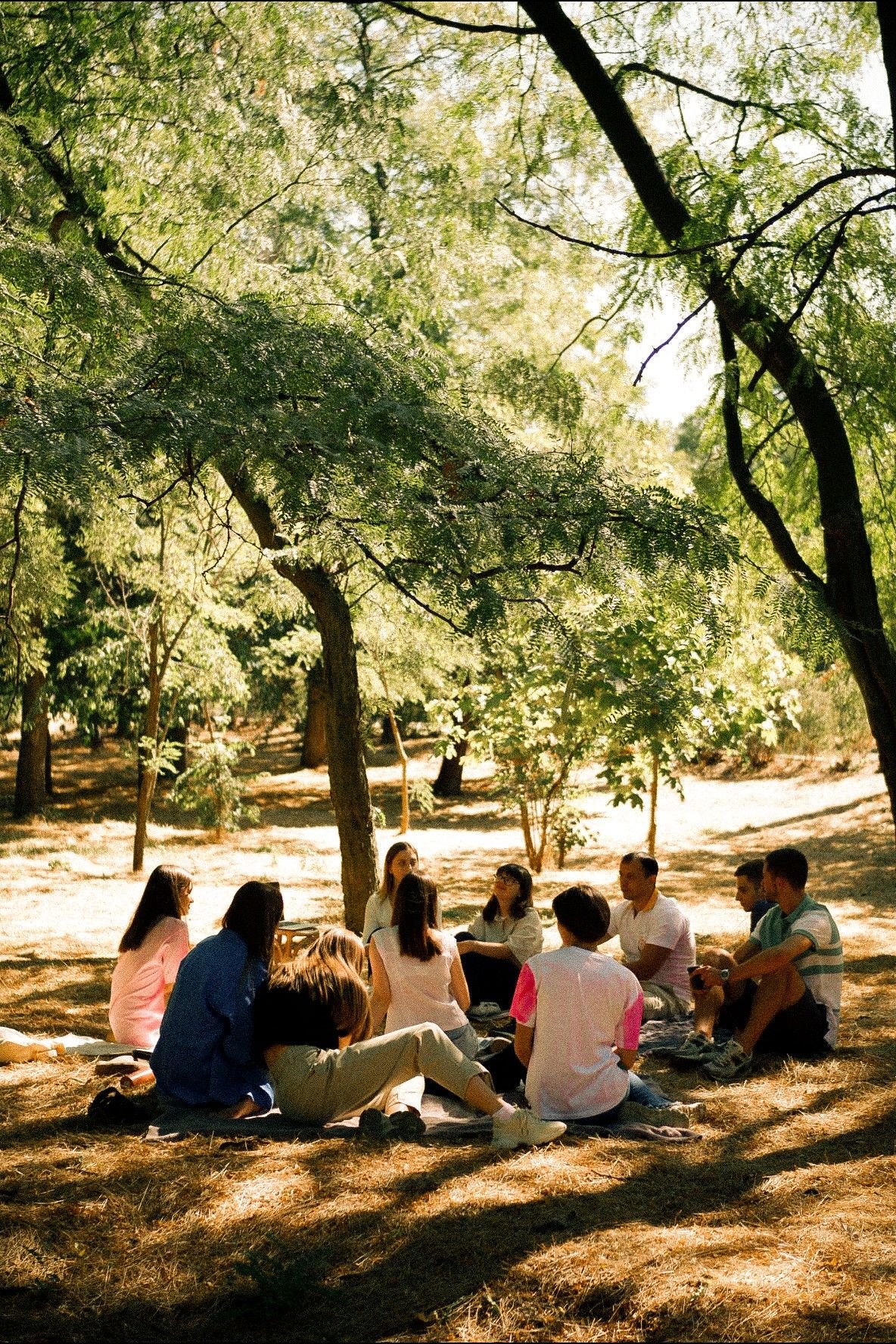 Group of people sitting in a circle outdoors under trees on a sunny day.