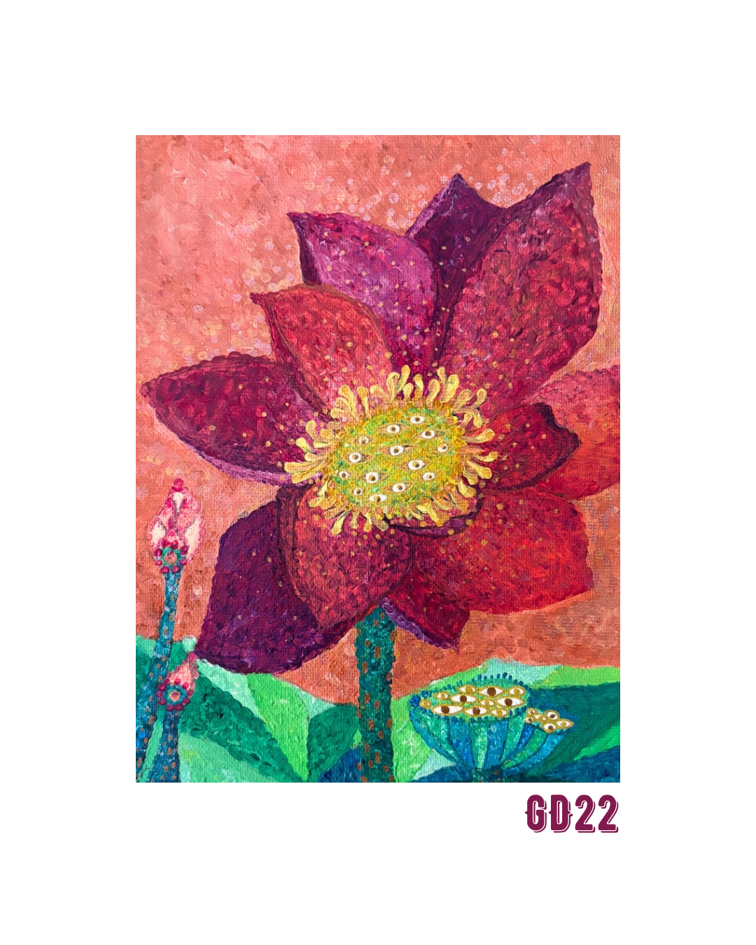 Shining Lotus