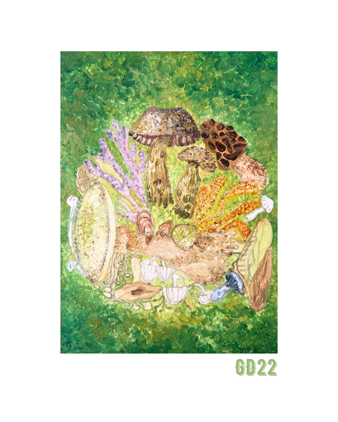 Sacred Mushrooms