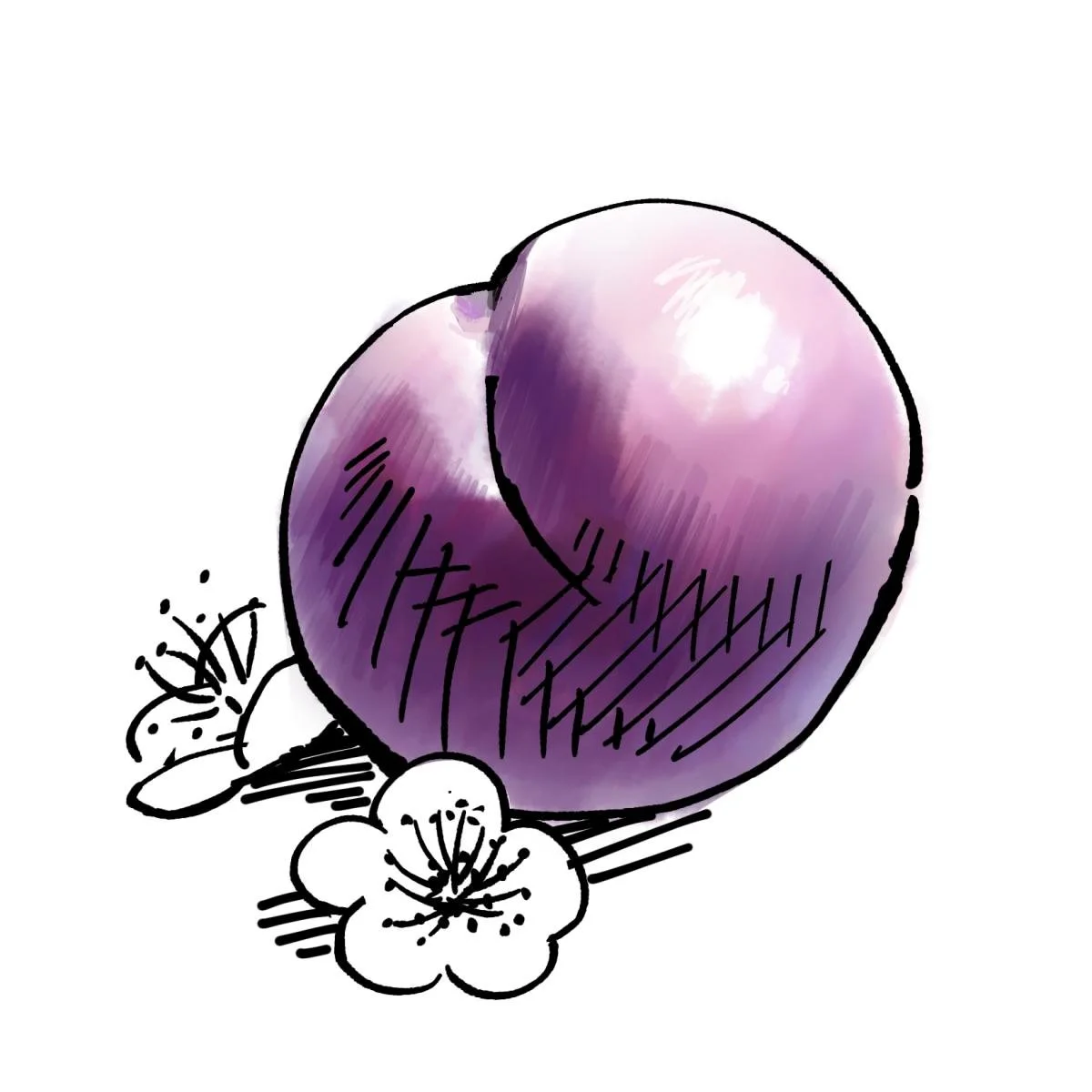 Licorice Plum