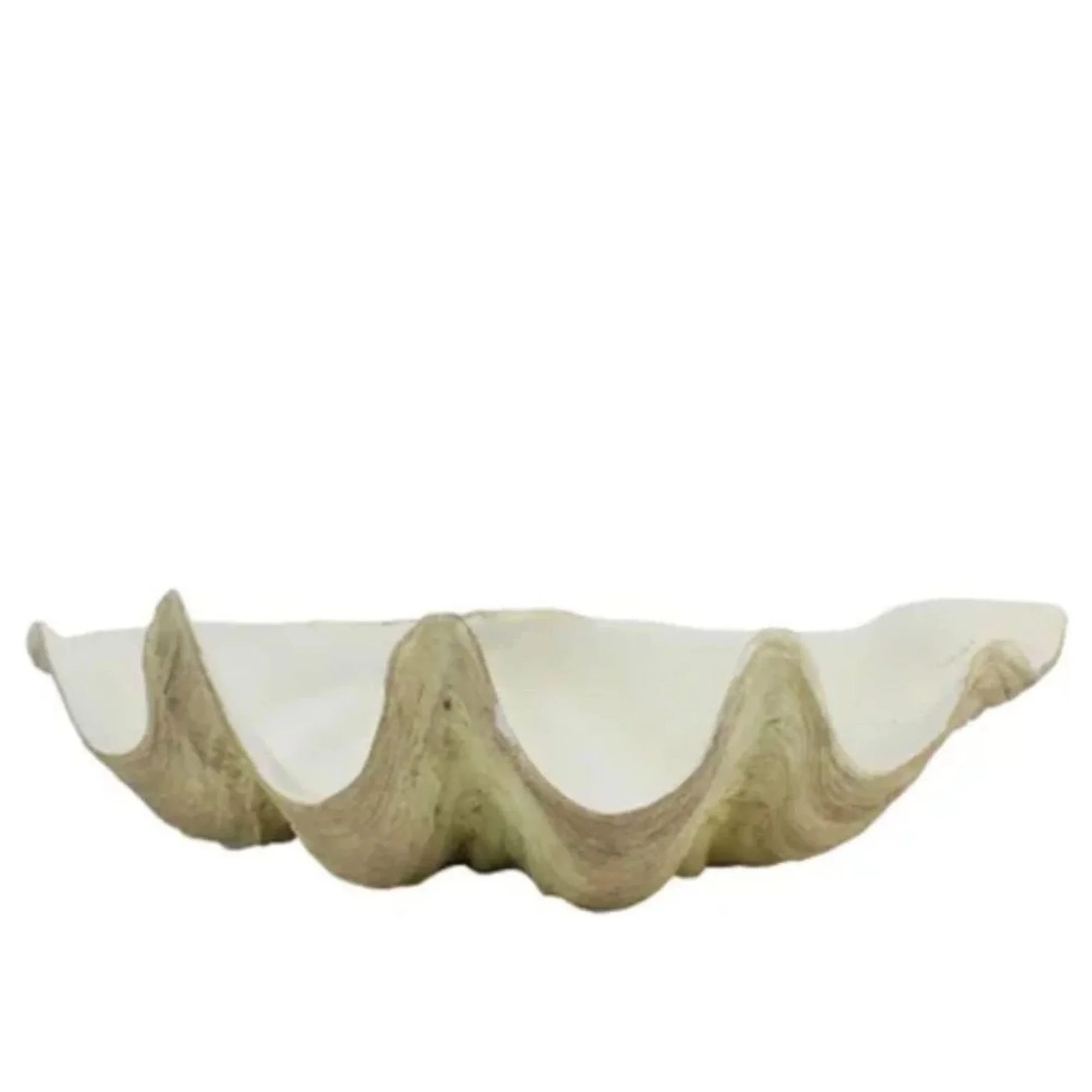 clam-shell-white-01.jpg