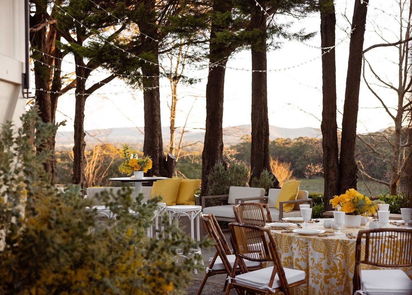 yellow-and-white-floral-pattern-tablecloth-03.jpg