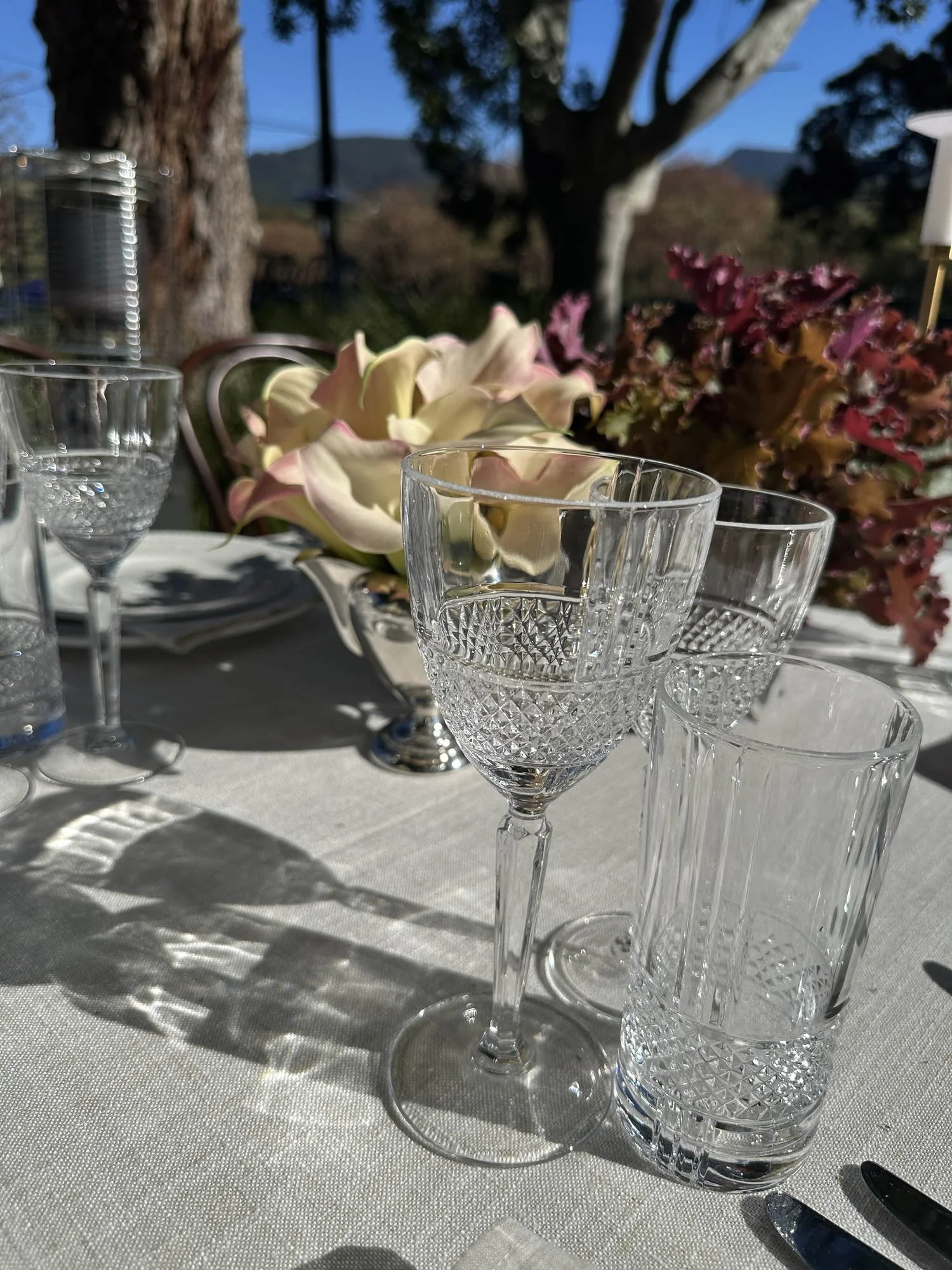 brillante-red-wine-02.jpg
