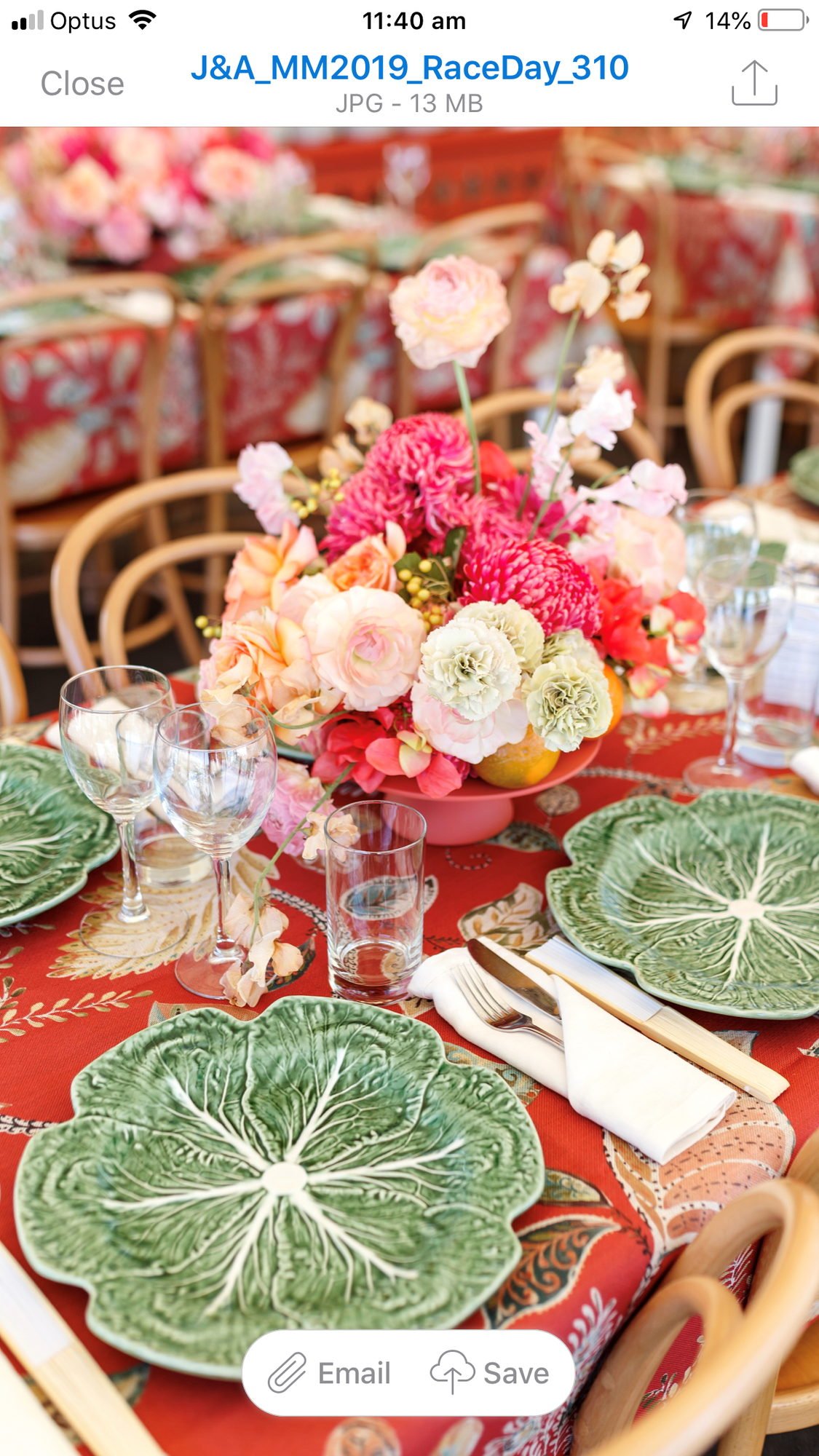 cabbage-leaf-green-main-service-plate-02.jpg