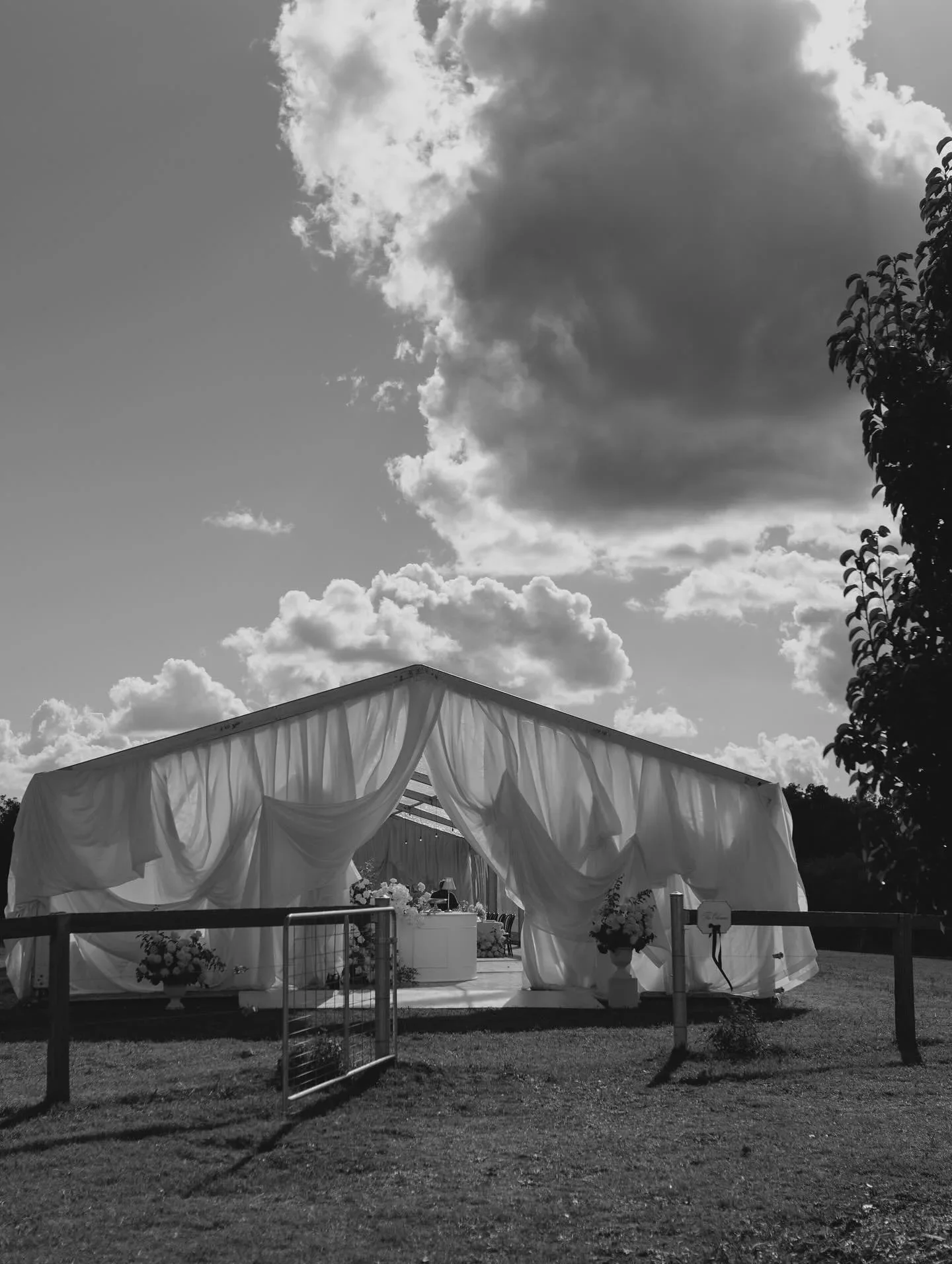 WEdding+marquee+Hire.webp